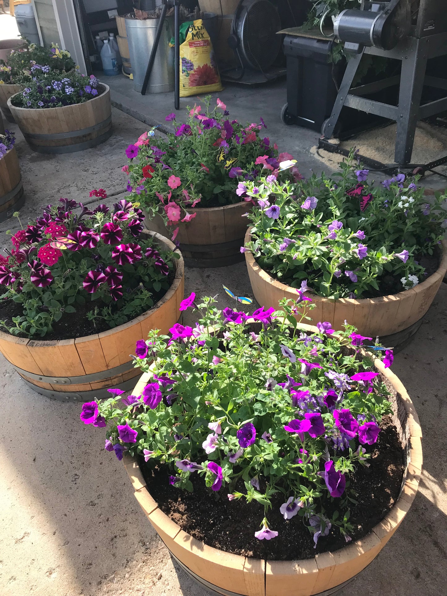 Wine Barrel Planter
